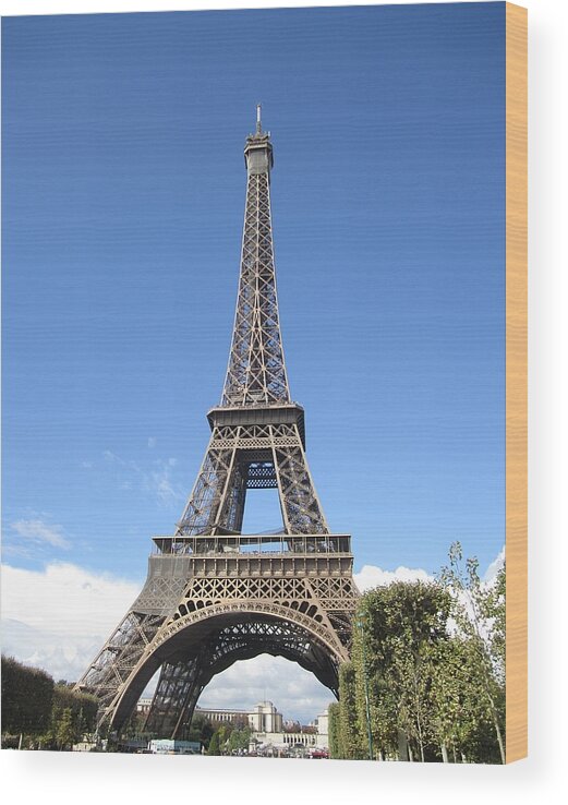 Eiffel Tower Wood Print featuring the photograph Eiffel Tower Tarped IX Paris France by John Shiron