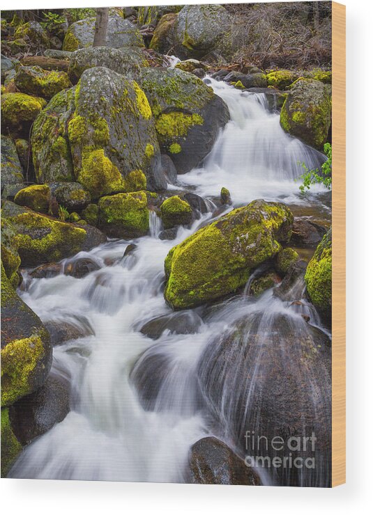 Yosemite Wood Print featuring the photograph Electric Green by Anthony Michael Bonafede