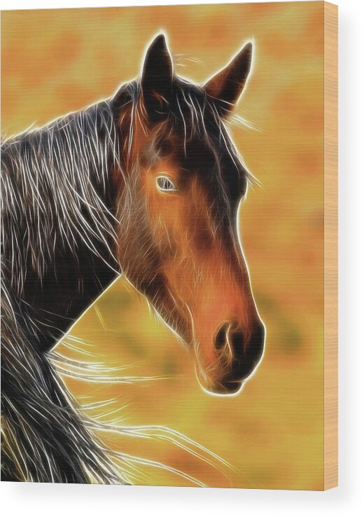 Horse Wood Print featuring the photograph Equine Colors by Steve McKinzie
