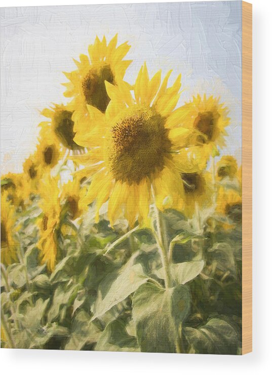 Sunflowers Wood Print featuring the photograph Facing the Sun by Natalie Rotman Cote