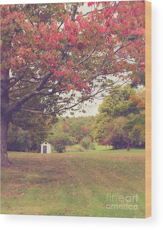 New Hamphire Wood Print featuring the photograph Fall Foliage and Old New England Shed by Edward Fielding