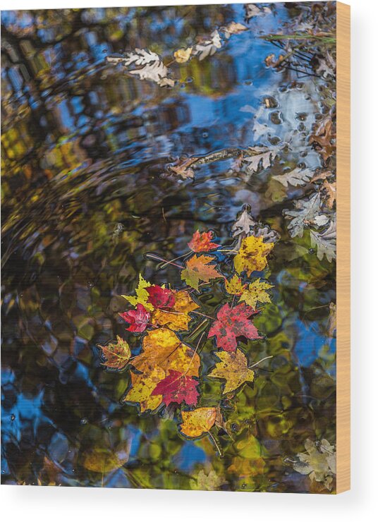 Pisgah National Forest Wood Print featuring the photograph Fall Reflection - Pisgah National Forest by Donnie Whitaker