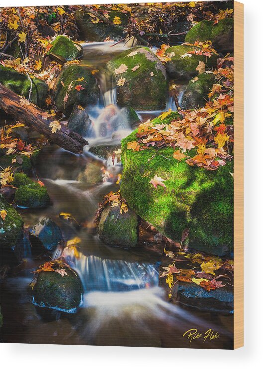 Autumn Wood Print featuring the photograph Fall Seasonal Water Cascade by Rikk Flohr