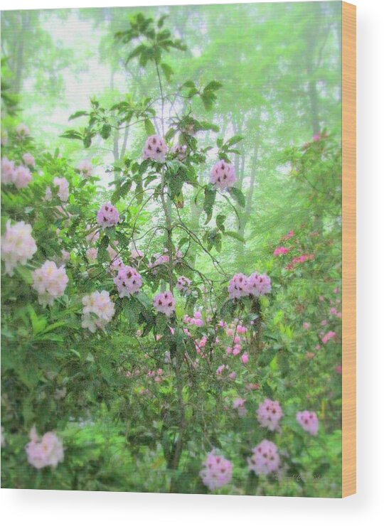 Azalea Wood Print featuring the photograph Floral Fantasy by Deborah Crew-Johnson