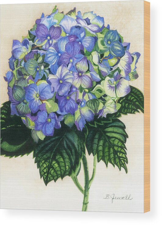 Hydrangea Wood Print featuring the painting Floral Favorite by Barbara Jewell