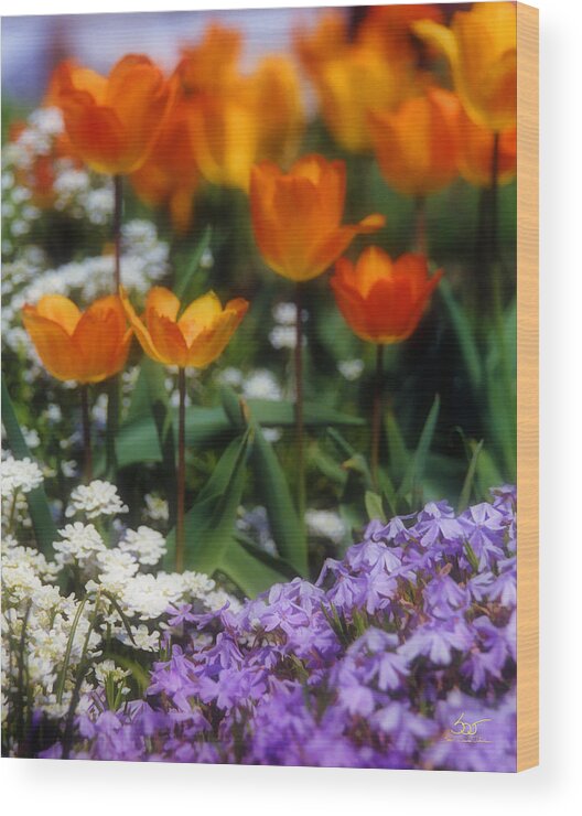 Flowers Wood Print featuring the photograph Flower Garden by Sam Davis Johnson