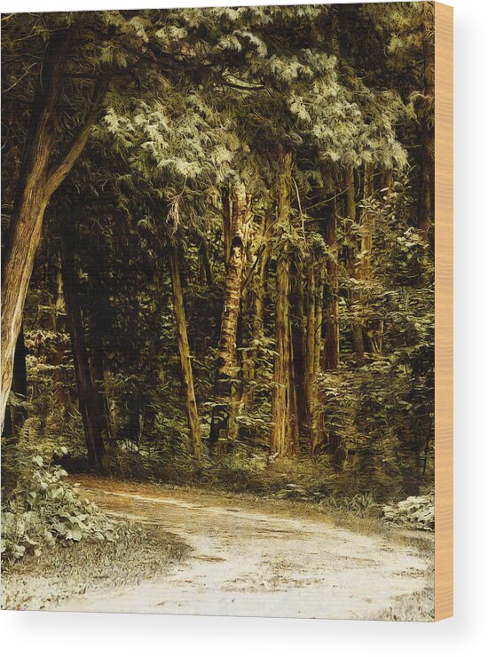Forest Wood Print featuring the digital art Forest Curve by JGracey Stinson
