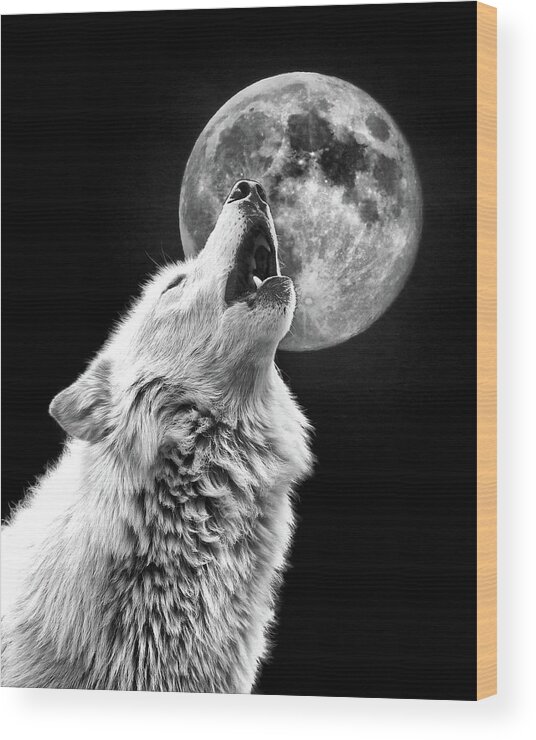 Wolf Wood Print featuring the photograph Full Moon Howl by Steve McKinzie
