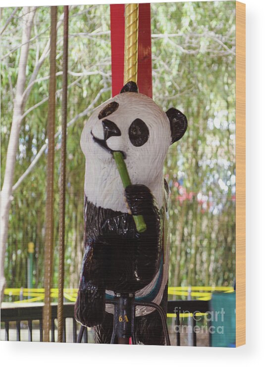 Panda Wood Print featuring the photograph Go Round And Round by Donna Brown