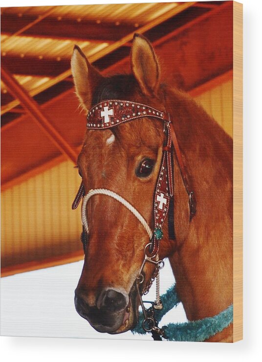 Horse Wood Print featuring the photograph Gorgeous Horse and Bridle by Eileen Brymer