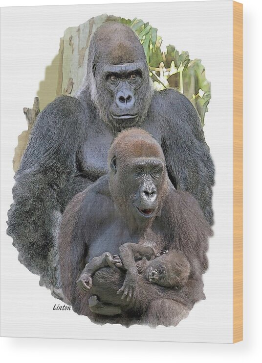 Gorilla Wood Print featuring the photograph Gorilla Family Portrait by Larry Linton