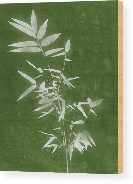 Bamboo Wood Print featuring the mixed media Green Bamboo 3- Art by Linda Woods by Linda Woods