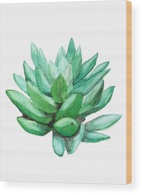 Painting Wood Print featuring the painting Green succulent by Color Color