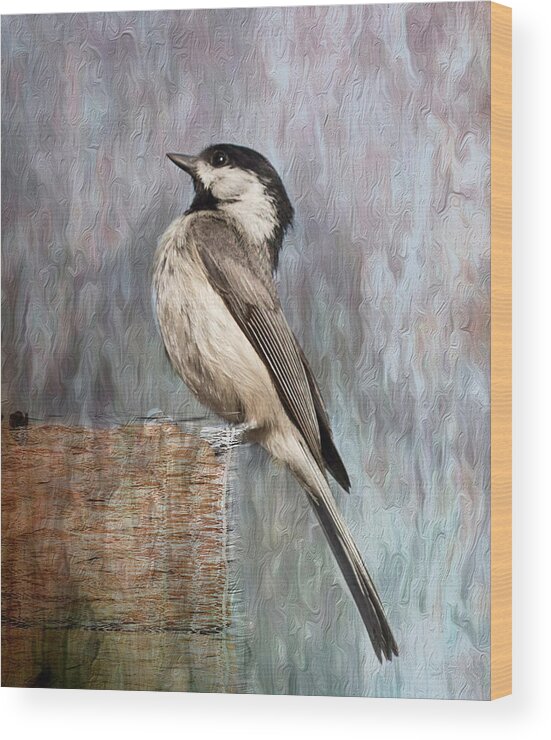 Chickadee Wood Print featuring the photograph Head Up, Shoulders Back by Cynthia Wolfe