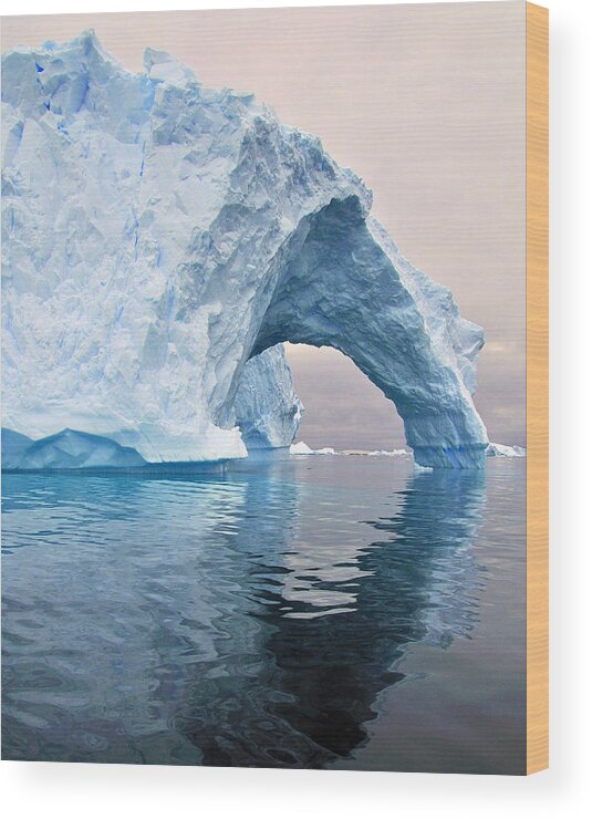 Iceberg Wood Print featuring the photograph Iceberg Alley by Tony Beck