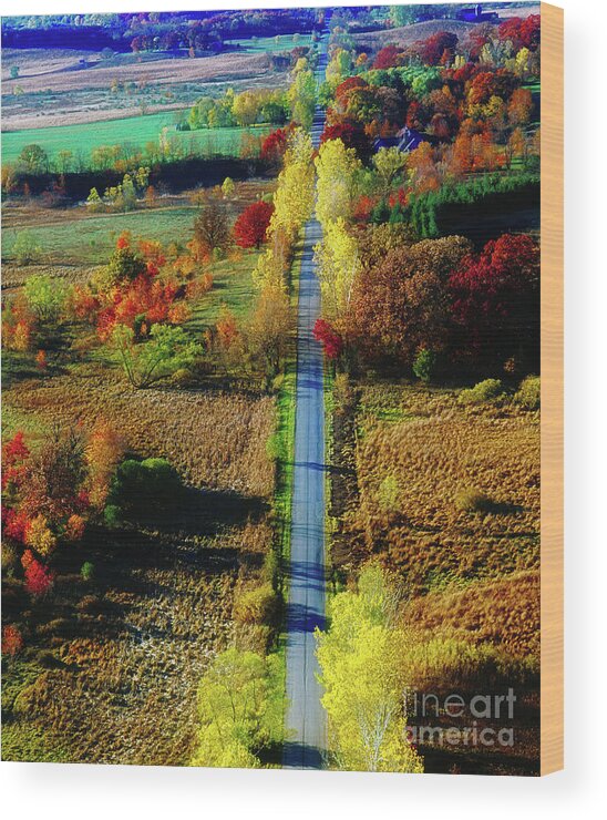 Aerial Wood Print featuring the photograph Illinois country road tree top sunset fall by Tom Jelen