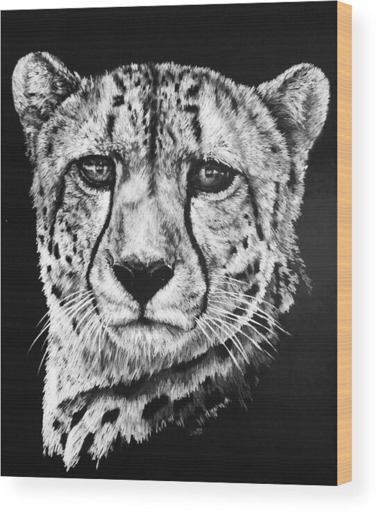 Cheetah Wood Print featuring the drawing Impressive by Barbara Keith