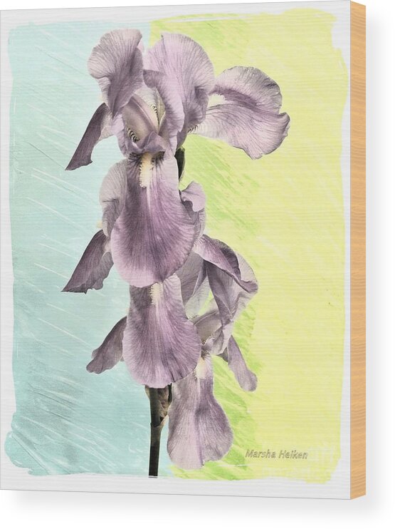 Photo Wood Print featuring the mixed media Irises in a Row by Marsha Heiken