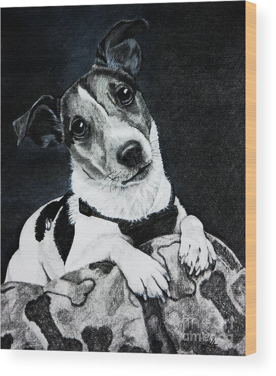 Dog Wood Print featuring the drawing Jack Russell Terrier by Terri Mills