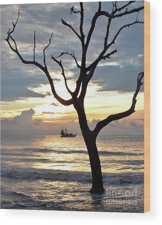 Jekyll Island Wood Print featuring the photograph Jekyll Island - Early Morning at Driftwood Beach by Kerri Farley