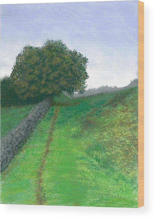Lake District Wood Print featuring the pastel Lake District Trail by Ginny Neece