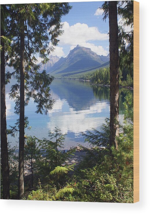 Glacier National Park Wood Print featuring the photograph Lake McDlonald Through the Trees Glacier National Park by Marty Koch