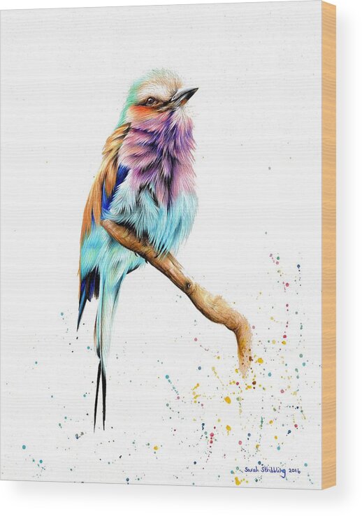 Breasted Roller Wood Print featuring the drawing Lilac Brested Roller by Sarah Stribbling