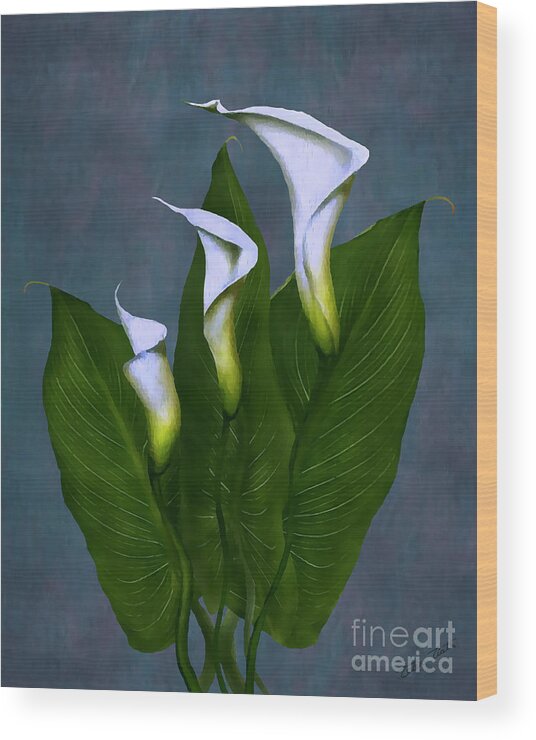 White Calla Lilies Wood Print featuring the painting White Calla Lilies #1 by Peter Piatt