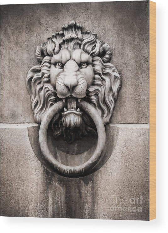 New Wood Print featuring the photograph Lion Ring by Perry Webster