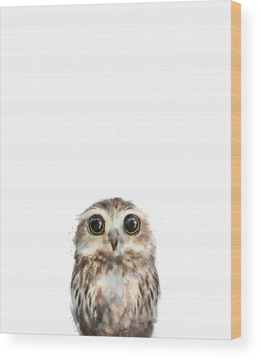 Owl Little Owl Baby Baby Owl Little Collection Nature Animals Animal Wildlife Wild Wilderness Fauna Forest Woodland Creature Illustration Drawing Painting Art Artwork Amy Hamilton Wood Print featuring the painting Little Owl by Amy Hamilton