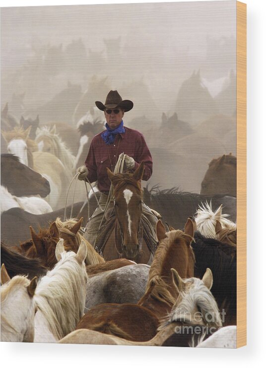 Cowboy Wood Print featuring the photograph Lone Cowboy by Carien Schippers