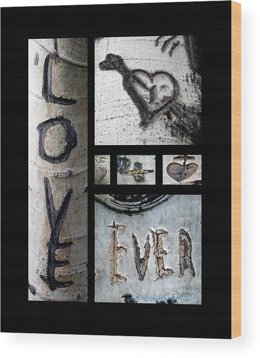 Photo Wood Print featuring the photograph Love Written in the Trees by Tamara Kulish
