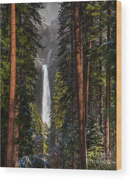 Yosemite Wood Print featuring the photograph Lower Yosemite Falls by Anthony Michael Bonafede