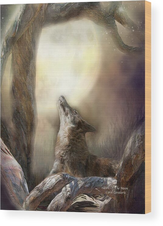 Wolf Wood Print featuring the photograph Lure Of The Moon by Carol Cavalaris