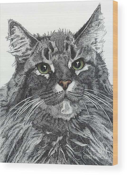 Maine Coon Wood Print featuring the drawing Maine Coon by Jennefer Chaudhry