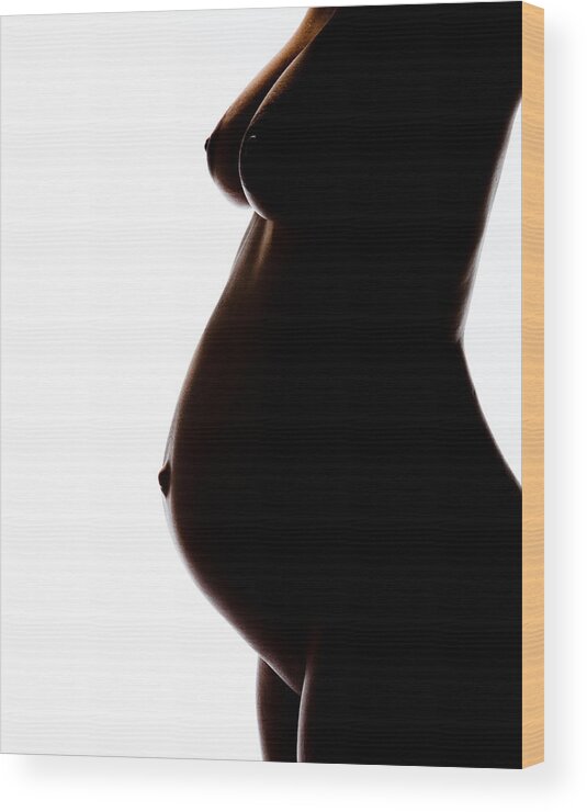 Maternity Wood Print featuring the photograph Maternity 259 by Michael Fryd