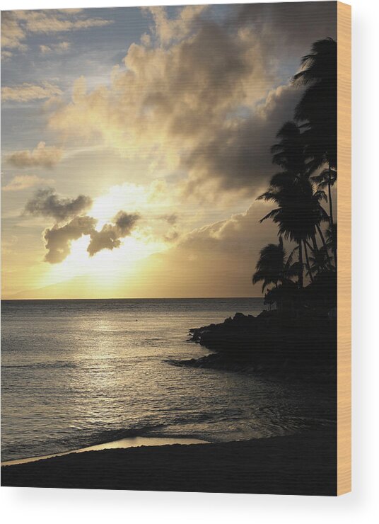 Nature Wood Print featuring the photograph Maui Sunset Vertical by Harold Rau