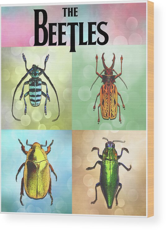 Beetles Wood Print featuring the digital art Meet the Beetles by John Haldane