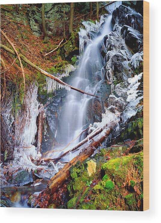 Landscape Wood Print featuring the photograph Mossy Cascade Falls by Frank Houck