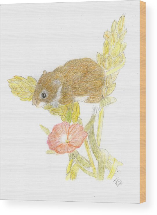 Mouse Wood Print featuring the drawing Mouse On The Corn by Jacqueline Essex