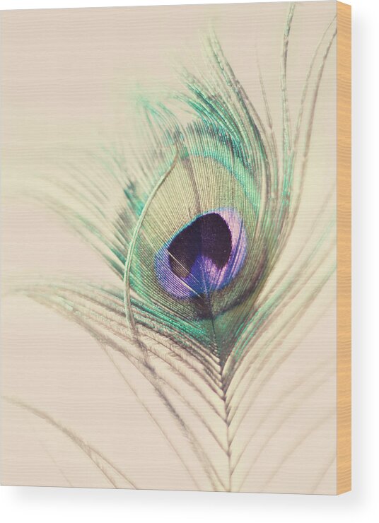 Peacock Feather Wood Print featuring the photograph O'Hara by Amy Tyler