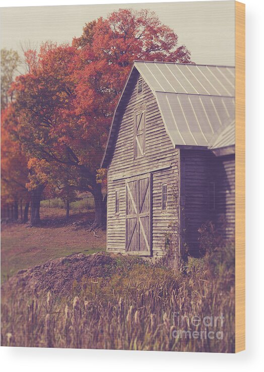Farm Wood Print featuring the photograph Old barn in Vermont by Edward Fielding