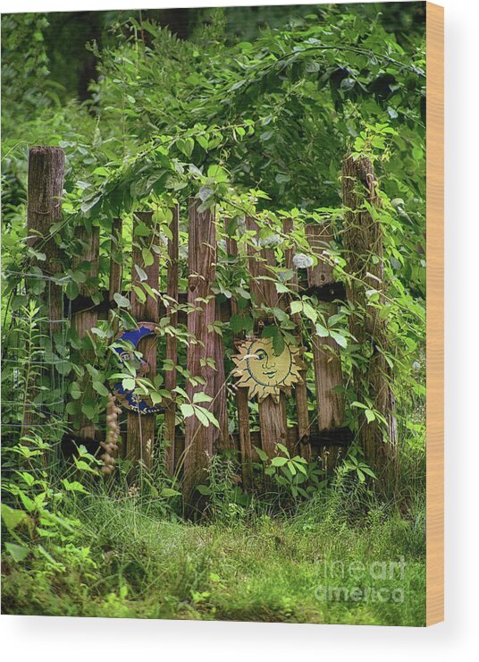 Old Wood Print featuring the photograph Old Garden Gate by Mark Miller
