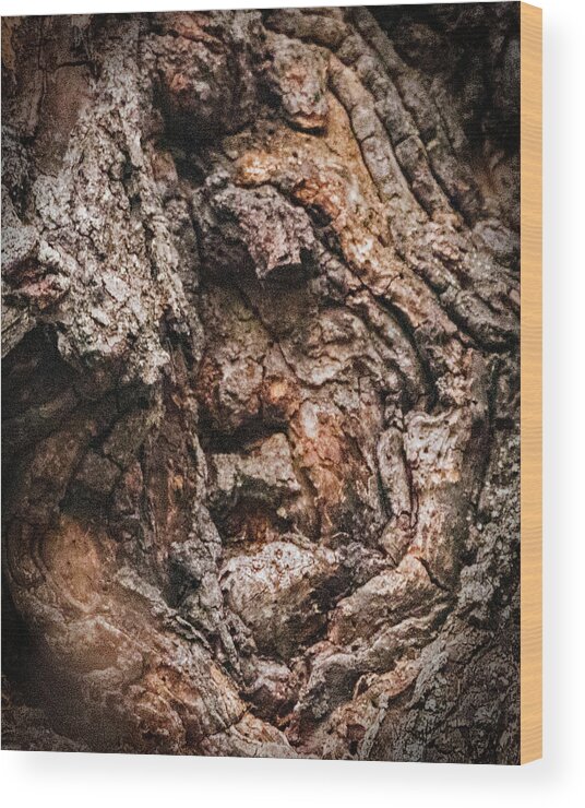 Tree Wood Print featuring the photograph Old Man in the Tree by Ira Marcus