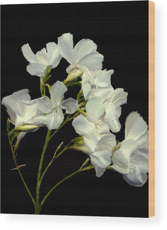 Flowers Wood Print featuring the photograph Oleander by Kurt Van Wagner