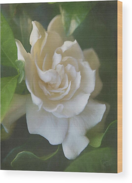 Gardenia Wood Print featuring the digital art Painted Gardenia Blossom by Teresa Wilson