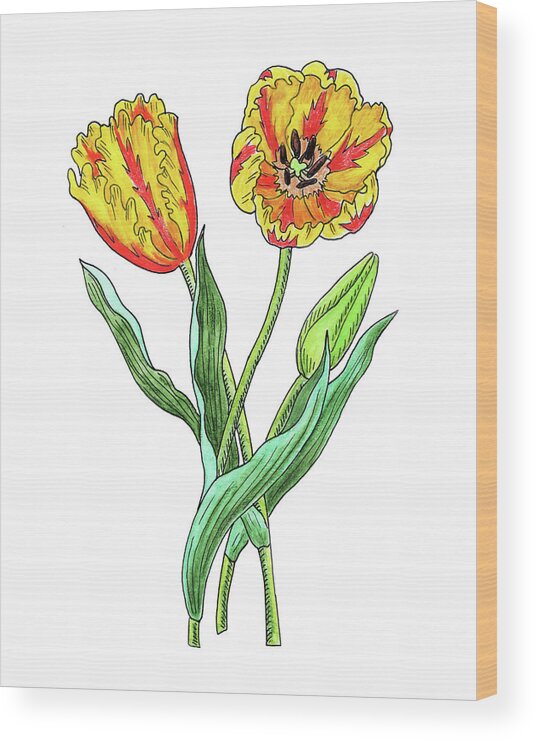 Parrot Tulips Wood Print featuring the painting Parrot Tulips Botanical Watercolor by Irina Sztukowski