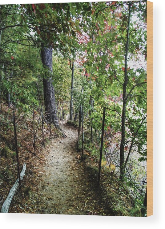 Walden Pond Wood Print featuring the photograph Path Along the Pond by Ike Krieger