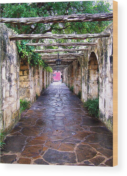 Alamo Wood Print featuring the photograph Path to the Alamo by Anthony Jones