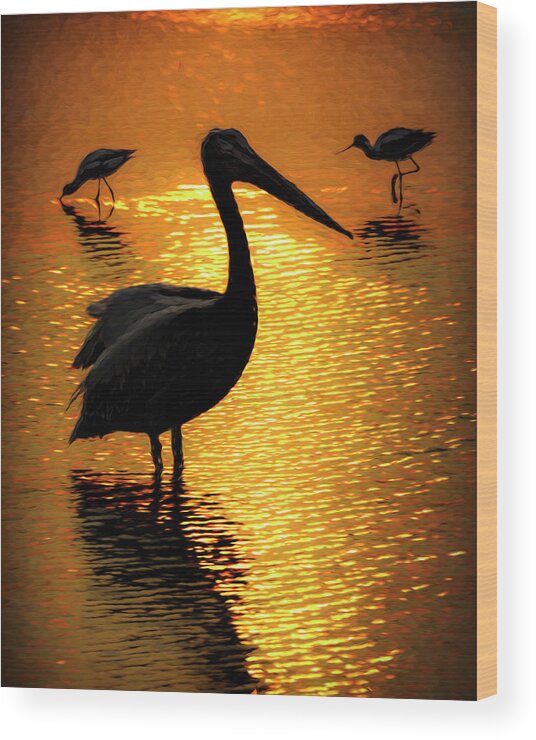 Kansas Wood Print featuring the photograph Pelican and Avocets by Rob Graham